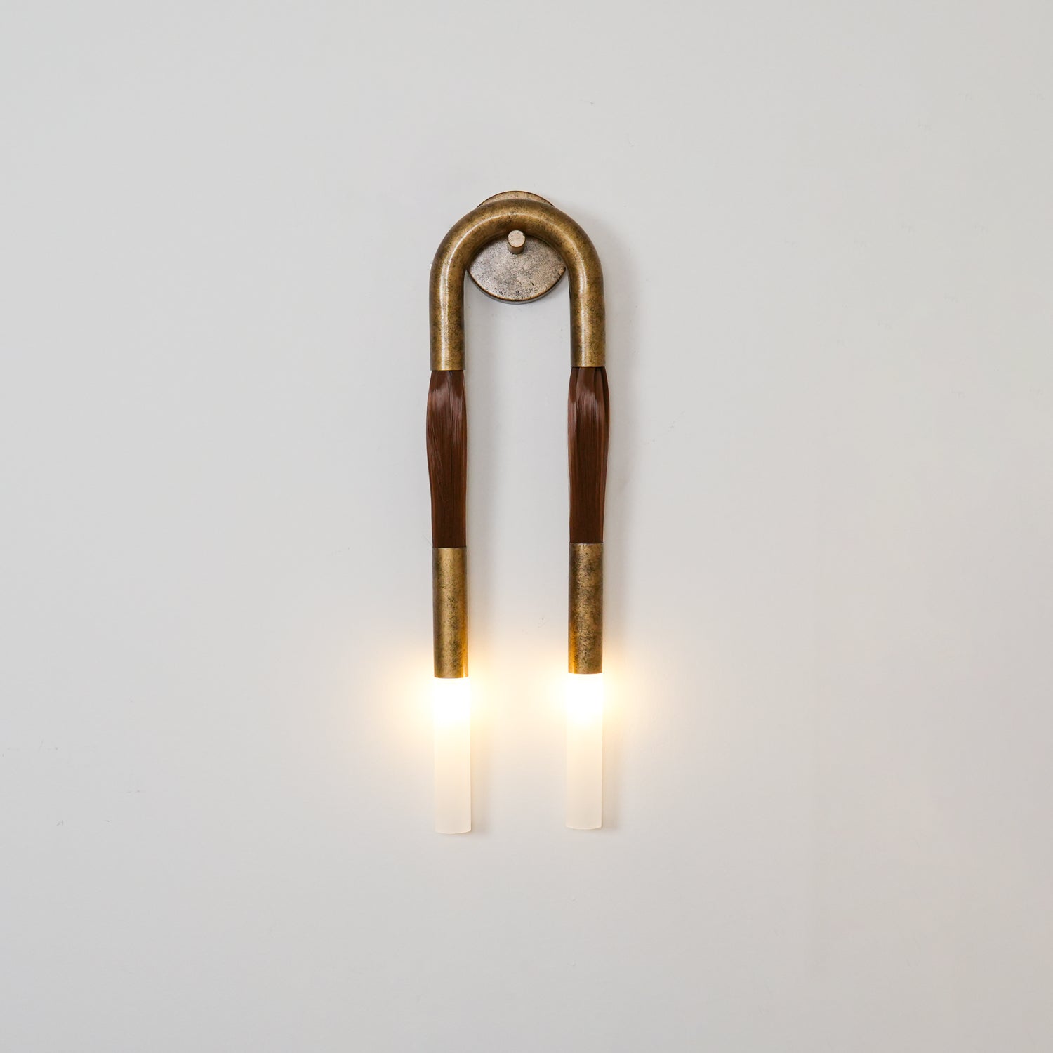 Modern Horsehair Tassel Wall Lamp with G9 LED Sconce and Elegant Glass Shade