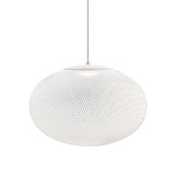 Modern Latticed Metal Mesh Pendant Light with Integrated LED for Living Room and Dining Areas