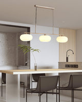 Modern Linear 3 Light Pendant with Globe Glass Shades and Adjustable Height