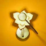 Modern Magnolia Flower Wall Sconce Set with Handcrafted Cotton Paper Petals
