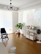 modern-mid-century-glass-globe-chandelier-with-metal-rod-frame-and-white-opal-shades