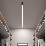 Modern Minimalist Linear LED Strip Ceiling Light Dimmable Flush Mount with Remote Control
