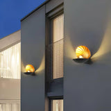 Modern Pearl Clam LED Wall Sconce Set of 2 Indoor Shell Decorative Lighting
