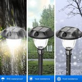 Modern RGB and Warm White Solar Pathway Lights Waterproof Outdoor Landscape Lamps 4 Pack