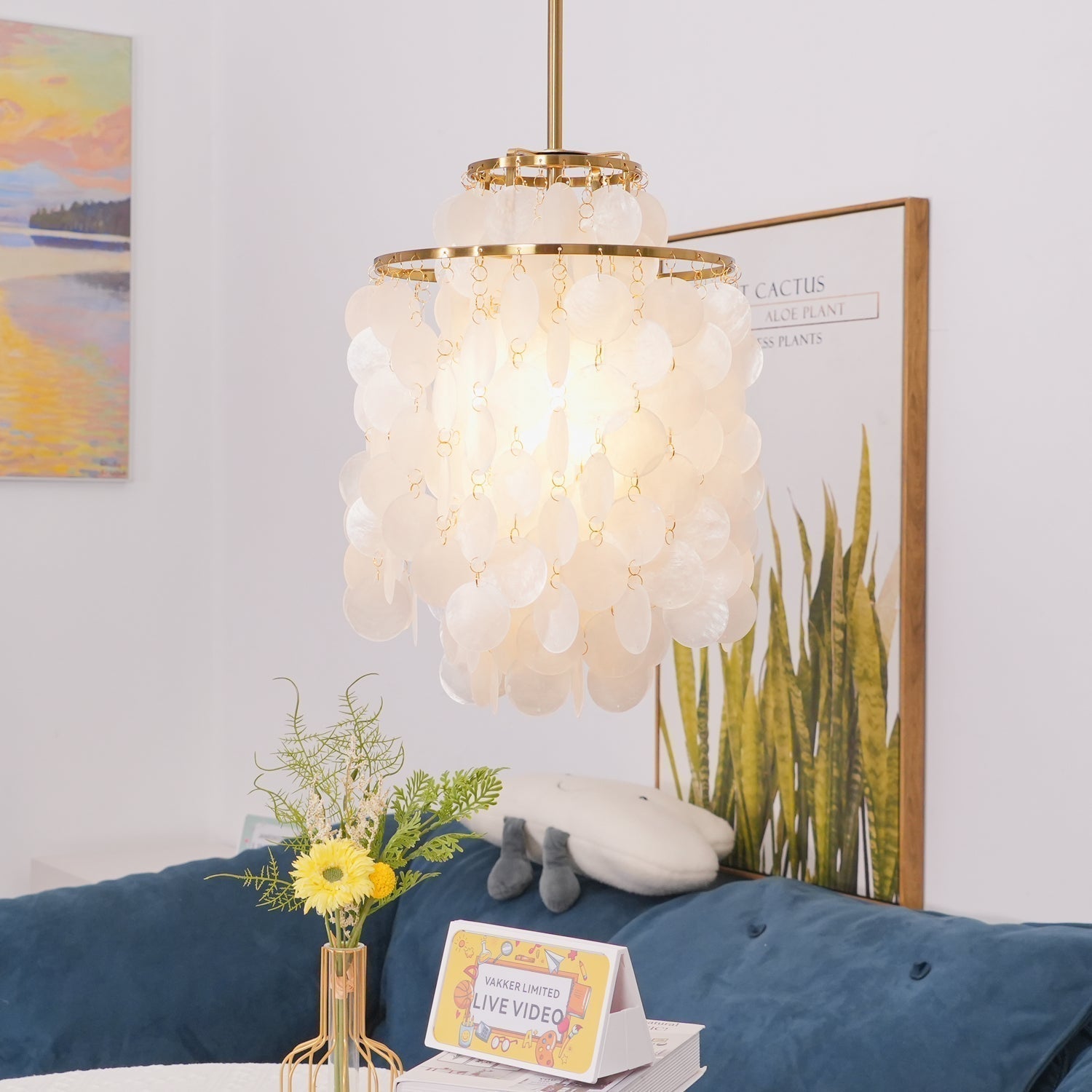 Modern Round Shell Pendant Light Coastal Chandelier for Living Room and Bedroom