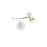 Modern Swing Arm Wall Sconce Adjustable Dual Arm Metal Wall Light Set of Two for Indoor Reading