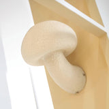 Modern White Mushroom Resin Wall Sconce Organic Design Interior Light