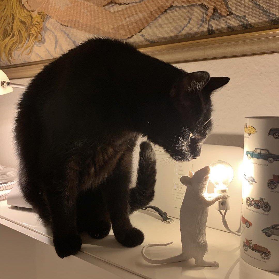 Resin Mouse Table Lamp Decorative Animal Sculpture Side Table Light for Bedside and Desk