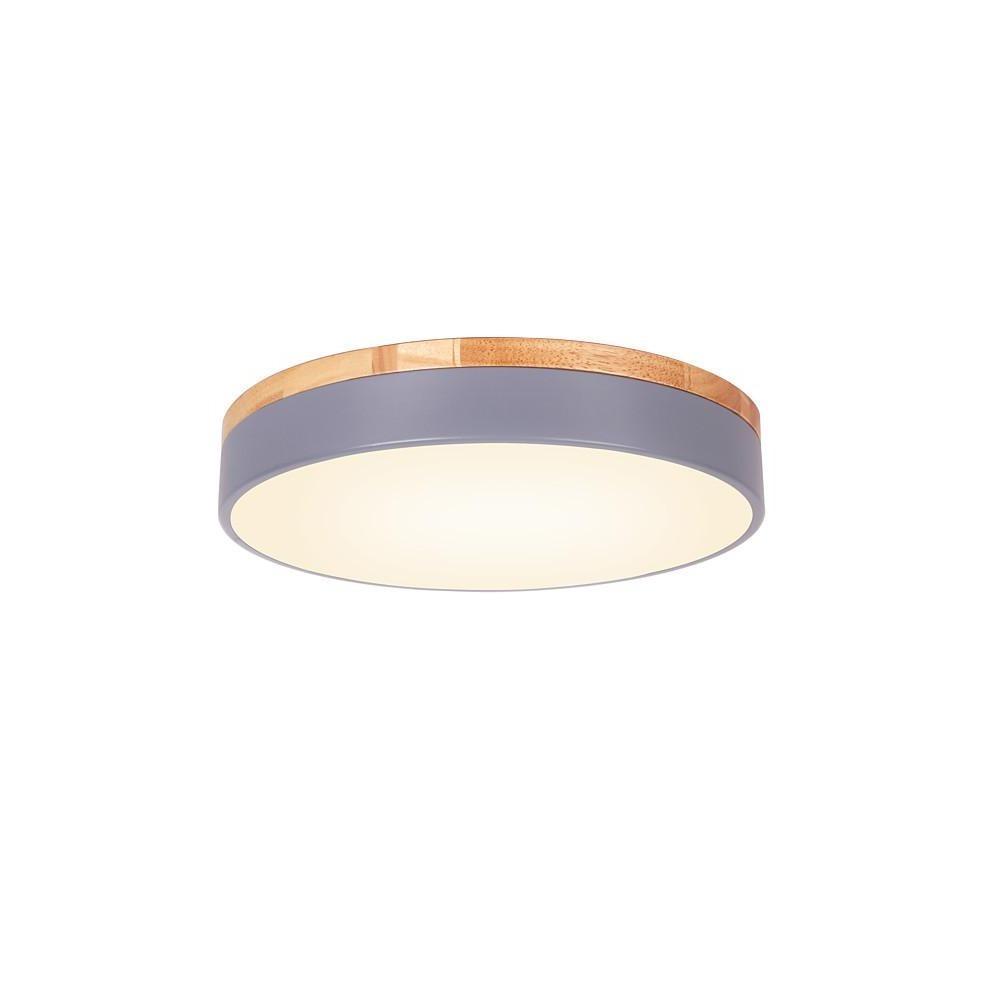 12 Inch Minimalist Round LED Flush Mount Ceiling Lamp for Modern Home Lighting