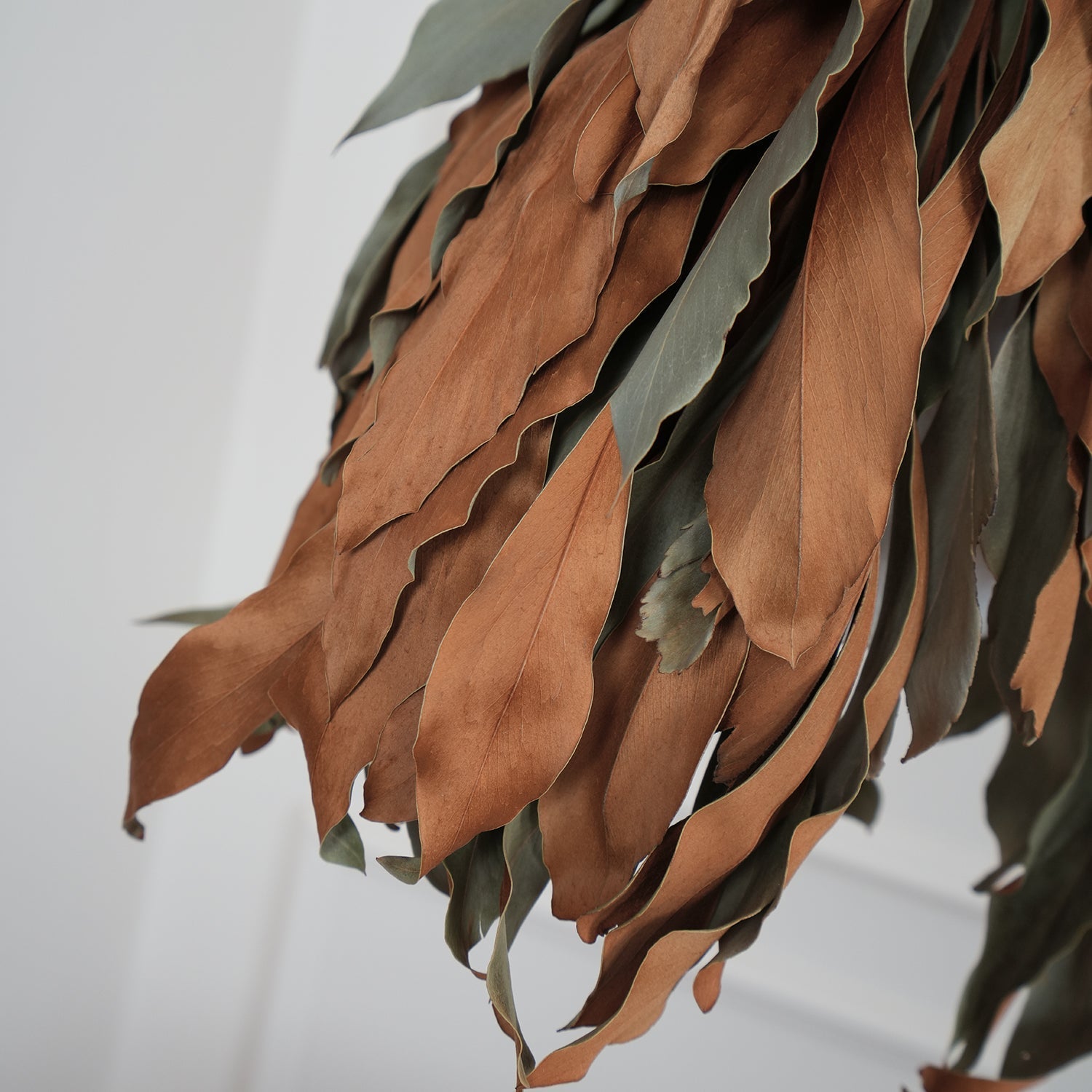 Natural Organic Dried Branch and Leaf Pendant Lamp Rustic Wood Leaf Chandelier
