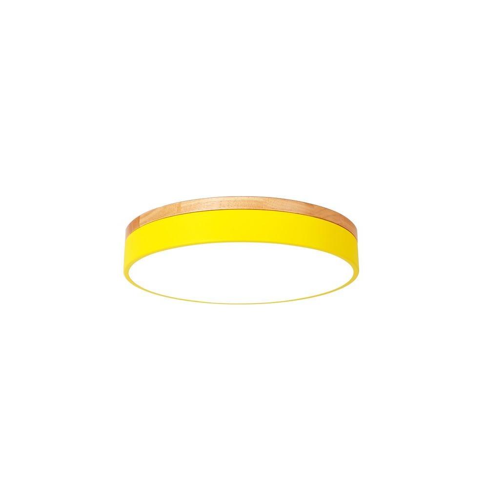 12 Inch Minimalist Round LED Flush Mount Ceiling Lamp for Modern Home Lighting