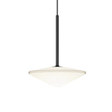 Nordic Black Iron and Glass LED Pendant Light Modern Creative Hanging Chandelier for Dining Room Kitchen