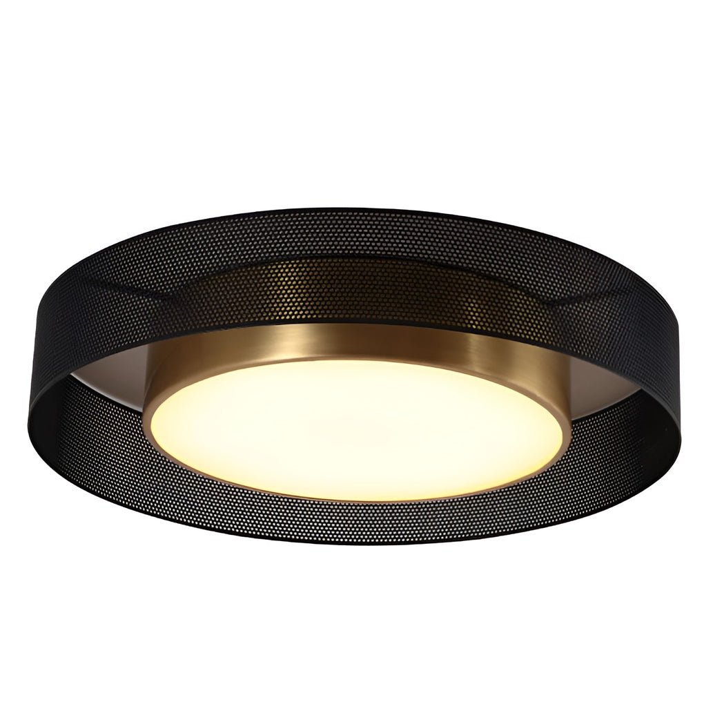 Modern Round Dimmable LED Ceiling Light with Remote Control Nordic Flush Mount Lamp 18 Inch
