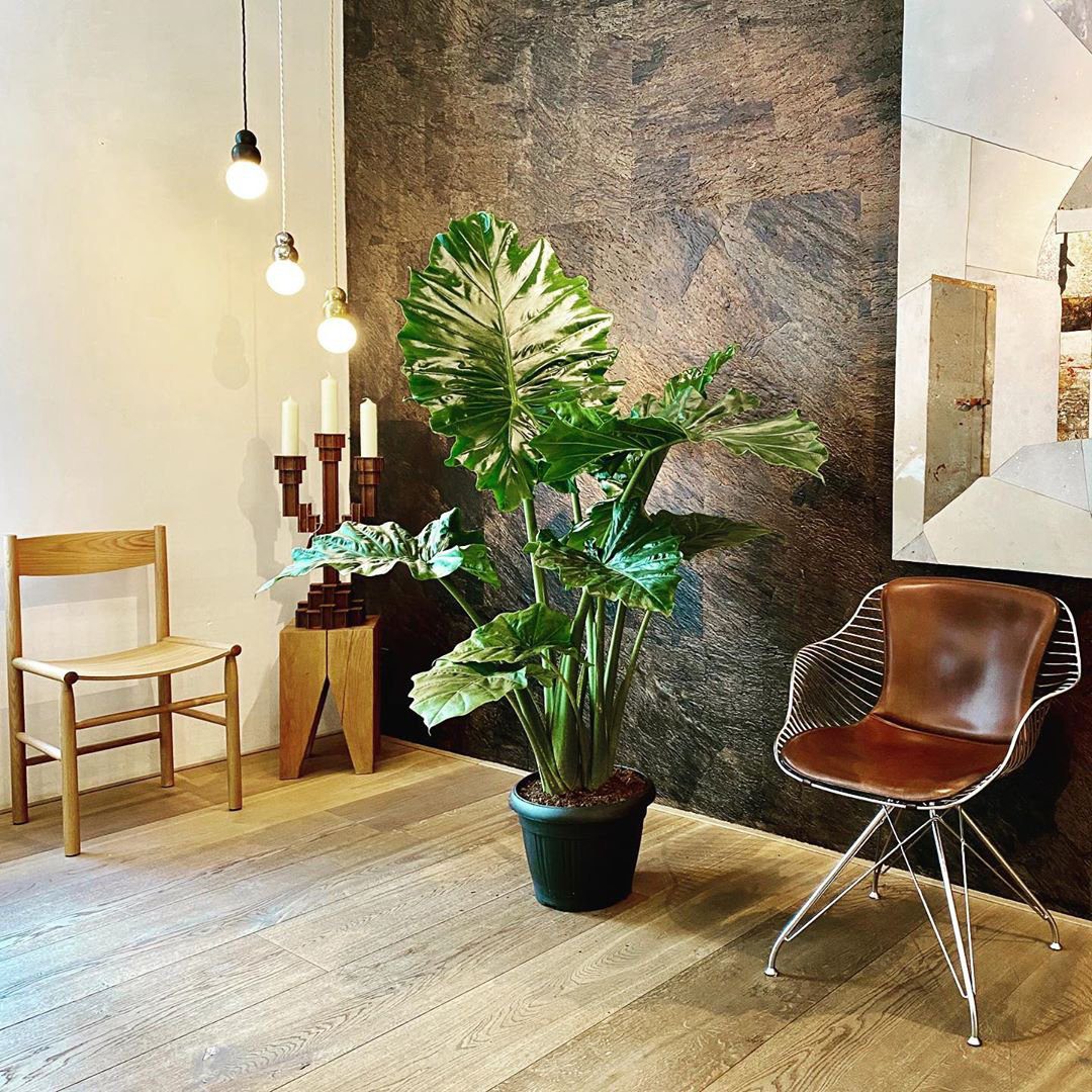 modern-spherical-pendant-light-minimalist-globe-hanging-lamp-for-dining-room-and-living-area