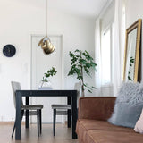 modern-adjustable-ball-pendant-light-with-rotating-metal-hemisphere-shade