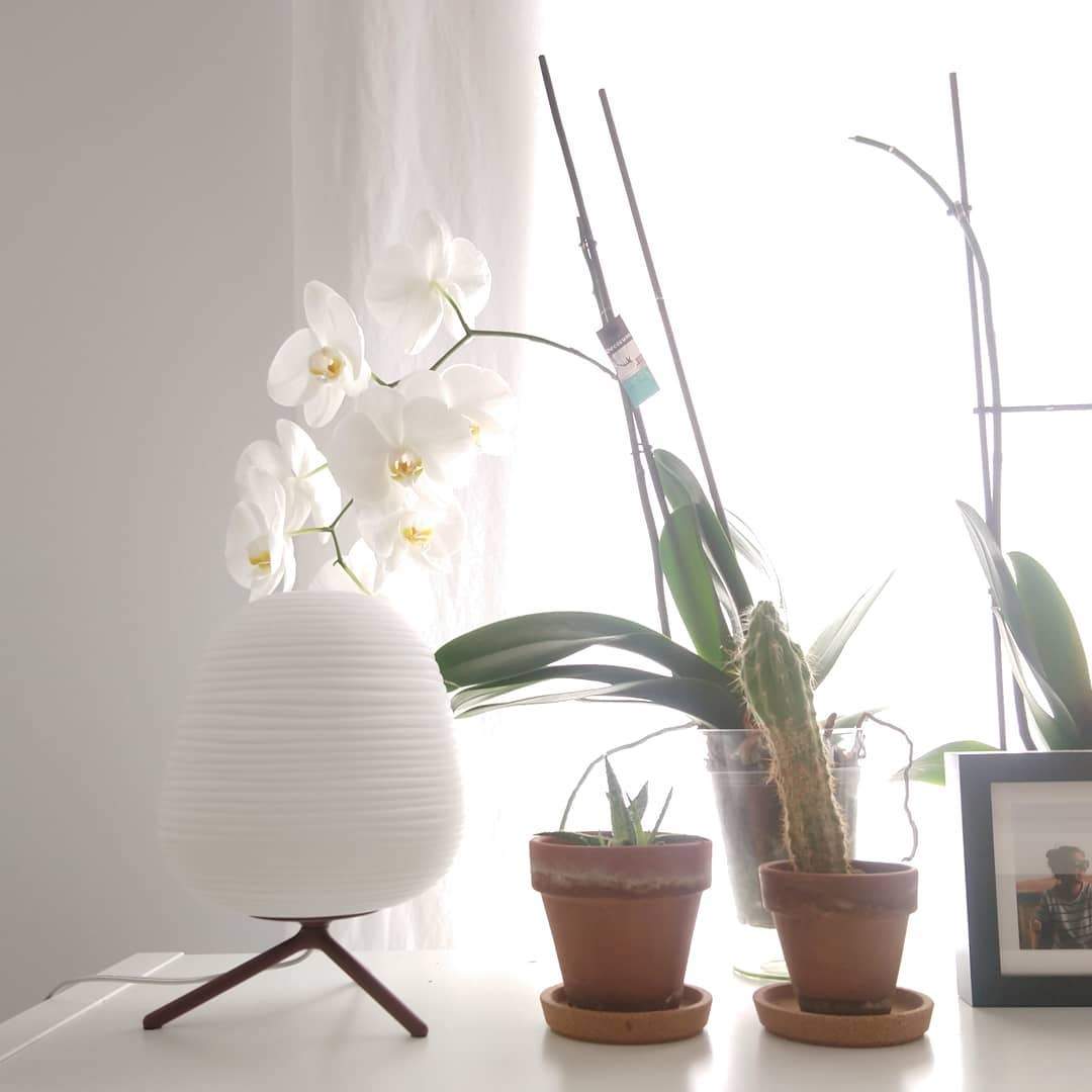 modern-textured-blown-glass-rituals-style-table-lamp-for-bedside-and-living-room