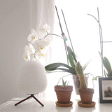 modern-textured-blown-glass-rituals-style-table-lamp-for-bedside-and-living-room