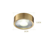 Modern Gold Copper LED Ceiling Light Flush Mount Round Acrylic Lamp for Bedroom Office