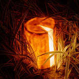 Realistic Tree Stump Outdoor LED Landscape Light Waterproof Garden Path Lighting Decor