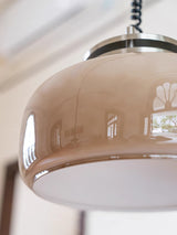 Retractable Glass Pendant Lamp with Tinted Dome Shade and Adjustable Metallic Structure