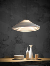 Rice Field Acoustic Pendant Light Modern Acrylic LED Ceiling Lamp for Interior Decor