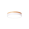 12 Inch Minimalist Round LED Flush Mount Ceiling Lamp for Modern Home Lighting