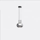 Smoky Grey Glass Globe Pendant Light Modern LED Hanging Ceiling Lamp