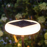 Solar and USB Rechargeable LED Outdoor Floor Lamp 68 Inch Waterproof Aluminum Post Light for Patio and Garden