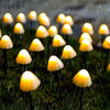 Solar Powered Mushroom Outdoor LED String Lights Waterproof Garden Path Decor 16.4 Feet