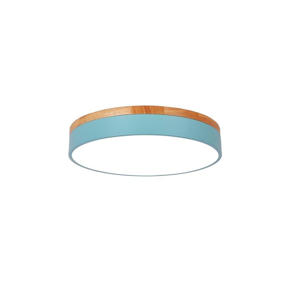 12 Inch Minimalist Round LED Flush Mount Ceiling Lamp for Modern Home Lighting