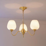 Traditional Antique Brass Electrolier Chandelier with White Glass Shades