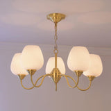 Traditional Antique Brass Electrolier Chandelier with White Glass Shades