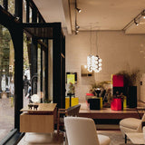 Vine Series Modular Glass Globe Pendant Light Chrome Arc Hanging Fixture