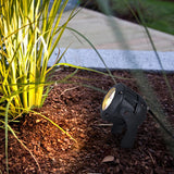 Waterproof Outdoor LED Landscape Spotlight for Decorative Tree and Garden Lighting