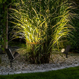 Waterproof Solar Powered LED Landscape Lighting for Outdoor Trees and Gardens